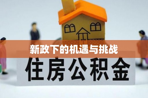 安定新政下的机遇与挑战