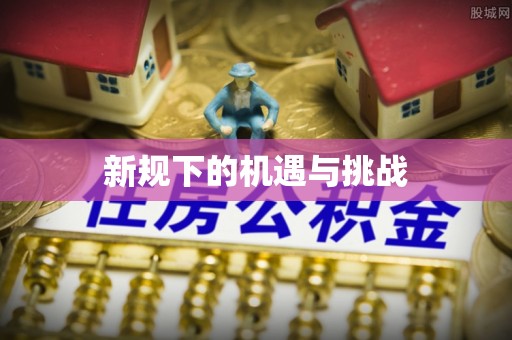 安定新规下的机遇与挑战