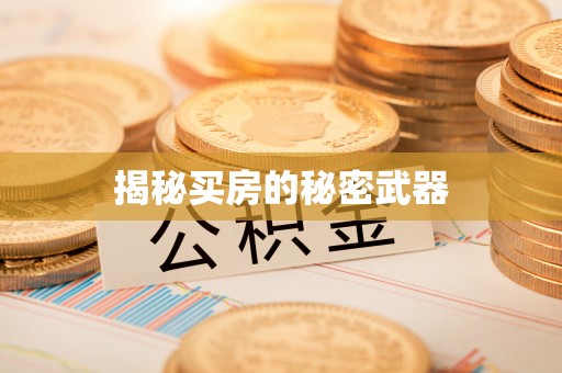 安定揭秘买房的秘密武器