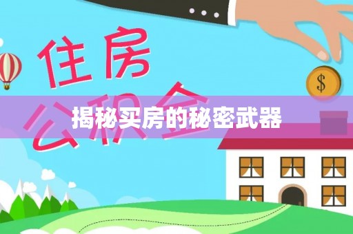 安定揭秘买房的秘密武器