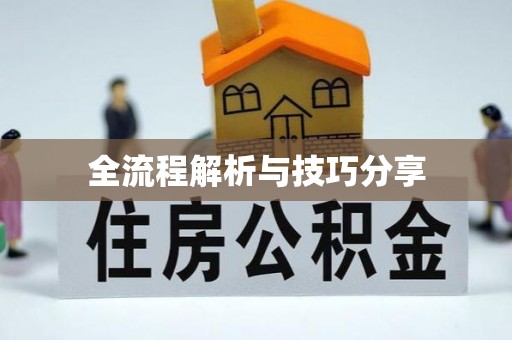安定全流程解析与技巧分享